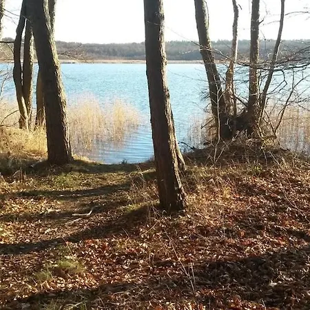 Best-wellness-fleesensee Mit Morgensonnebad, Panoramagarten, Klavier Goehren-Lebbin